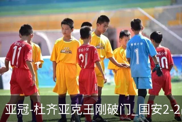 亚冠-杜齐亚克王刚破门 国安2-2战平全北现代3轮不败
