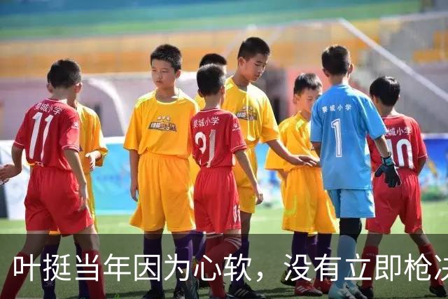 叶挺当年因为心软，没有立即枪决的副师长，20年后却成为粟裕大敌