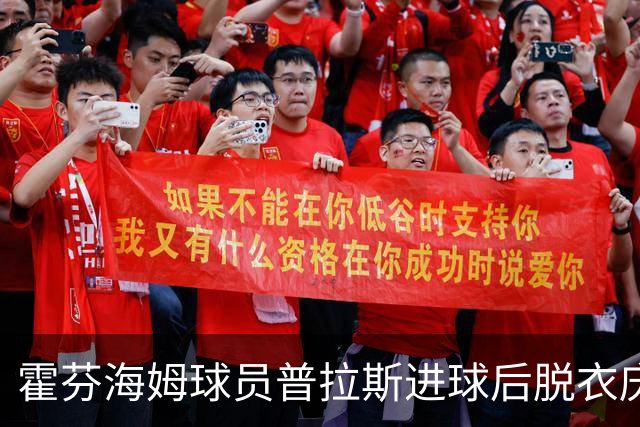 霍芬海姆球员普拉斯进球后脱衣庆祝，忘记已有黄牌被罚下