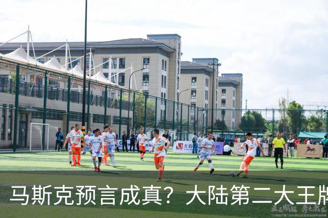马斯克预言成真？大陆第二大王牌曝光，美媒：比“稀土”更可怕